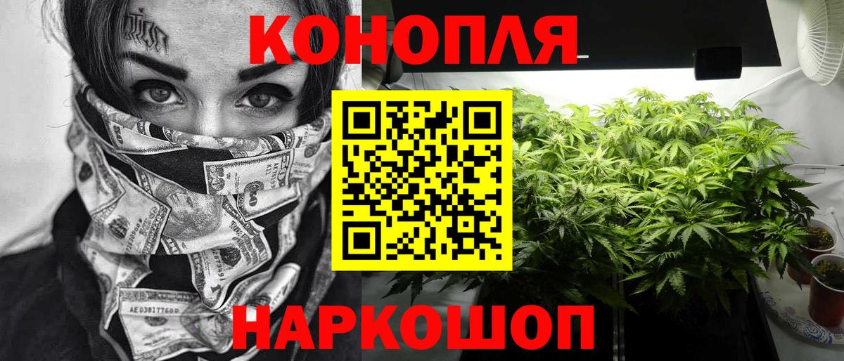 Шишки марихуана планчик Нефтеюганск